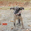 Julie Nursery *LOCAL*