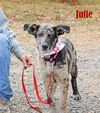 Julie Nursery *LOCAL*
