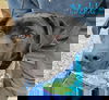 Mable *LOCAL*