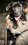 Mable *LOCAL*