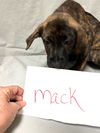 Mack Plott