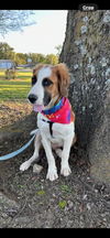 Henry Winkler - MEET ME!