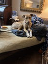 Callie McGee *LOCAL*