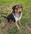 Waylon *LOCAL*