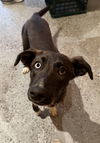Macy *LOCAL* MEET ME!