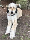 Thor *LOCAL* MEET ME!