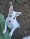 Hatti Havana *LOCAL* - Photo 11