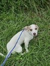 Hatti Havana *LOCAL* - Photo 17