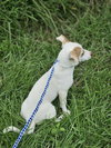 Hatti Havana *LOCAL* - Photo 18