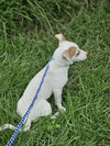 Hatti Havana *LOCAL* - Photo 19
