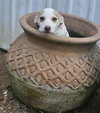 Hatti Havana *LOCAL* - Photo 22
