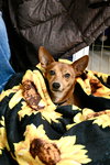 Gomez Adams *LOCAL* - Photo 4