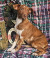 Ryan Trixie *LOCAL* - Photo 11