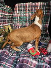 Ryan Trixie *LOCAL* - Photo 13