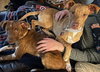 Ryan Trixie *LOCAL* - Photo 4