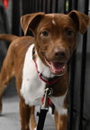 Ryan Trixie *LOCAL* - Photo 1