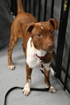 Ryan Trixie *LOCAL* - Photo 2