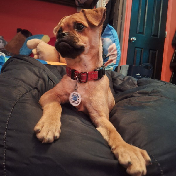 Josie