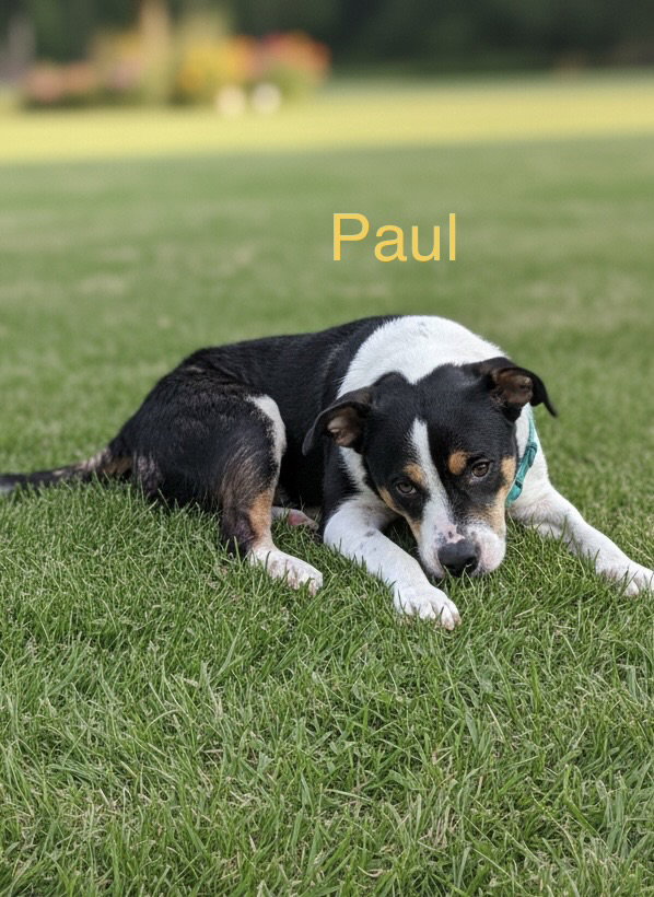 Paul