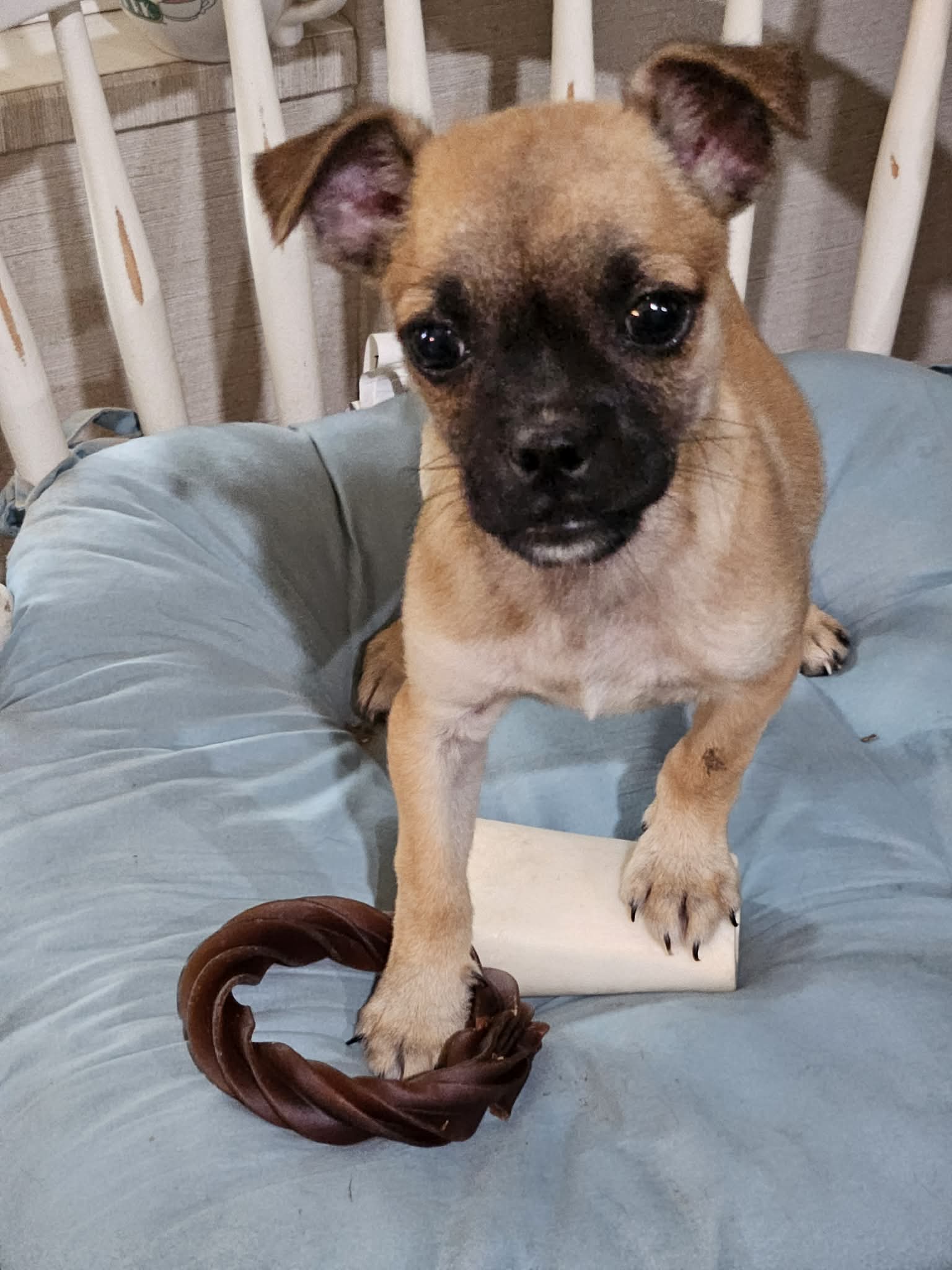 Annie