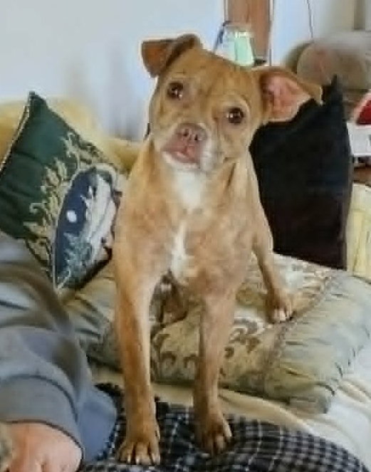 Pinky Grace CaliGrace