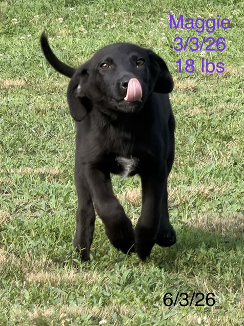 Maggie Simp photo 2