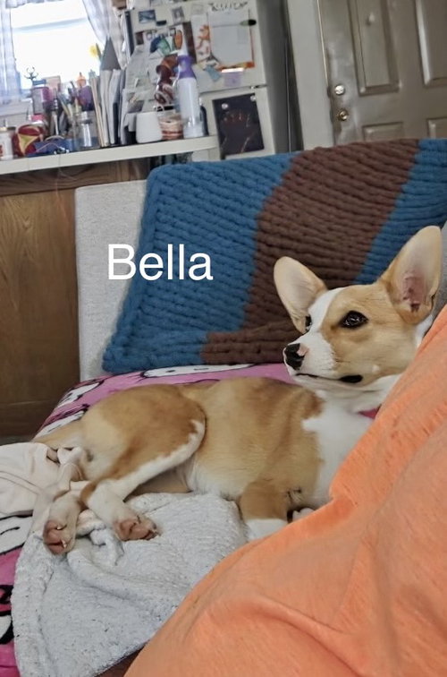 Bella Way photo 4