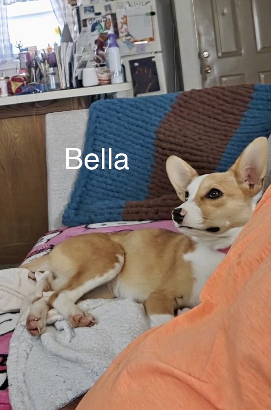 Bella