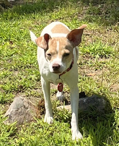 Misty Chi3 *LOCAL*