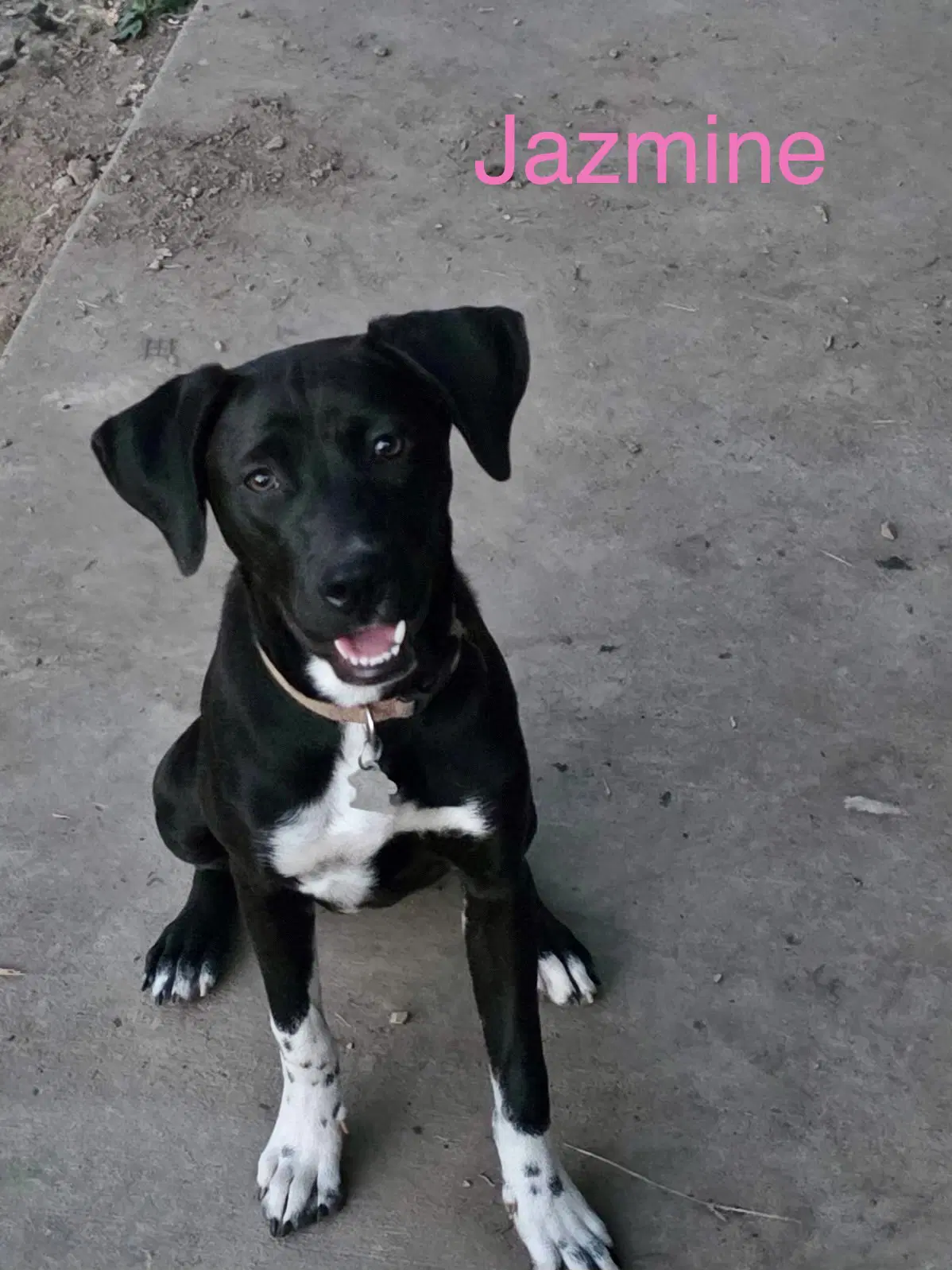 Jazmine image 2