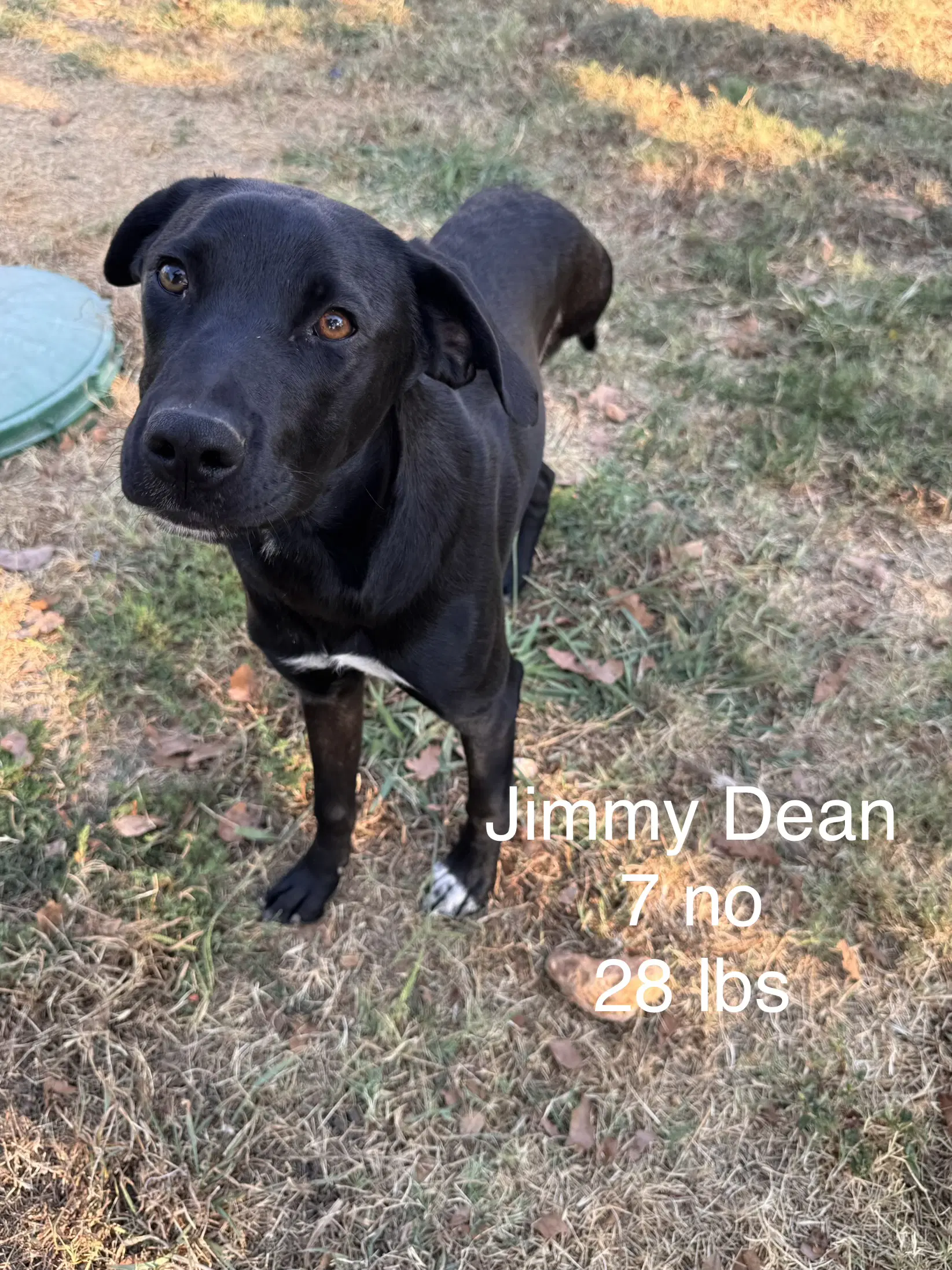 Jimmy Dean image 2