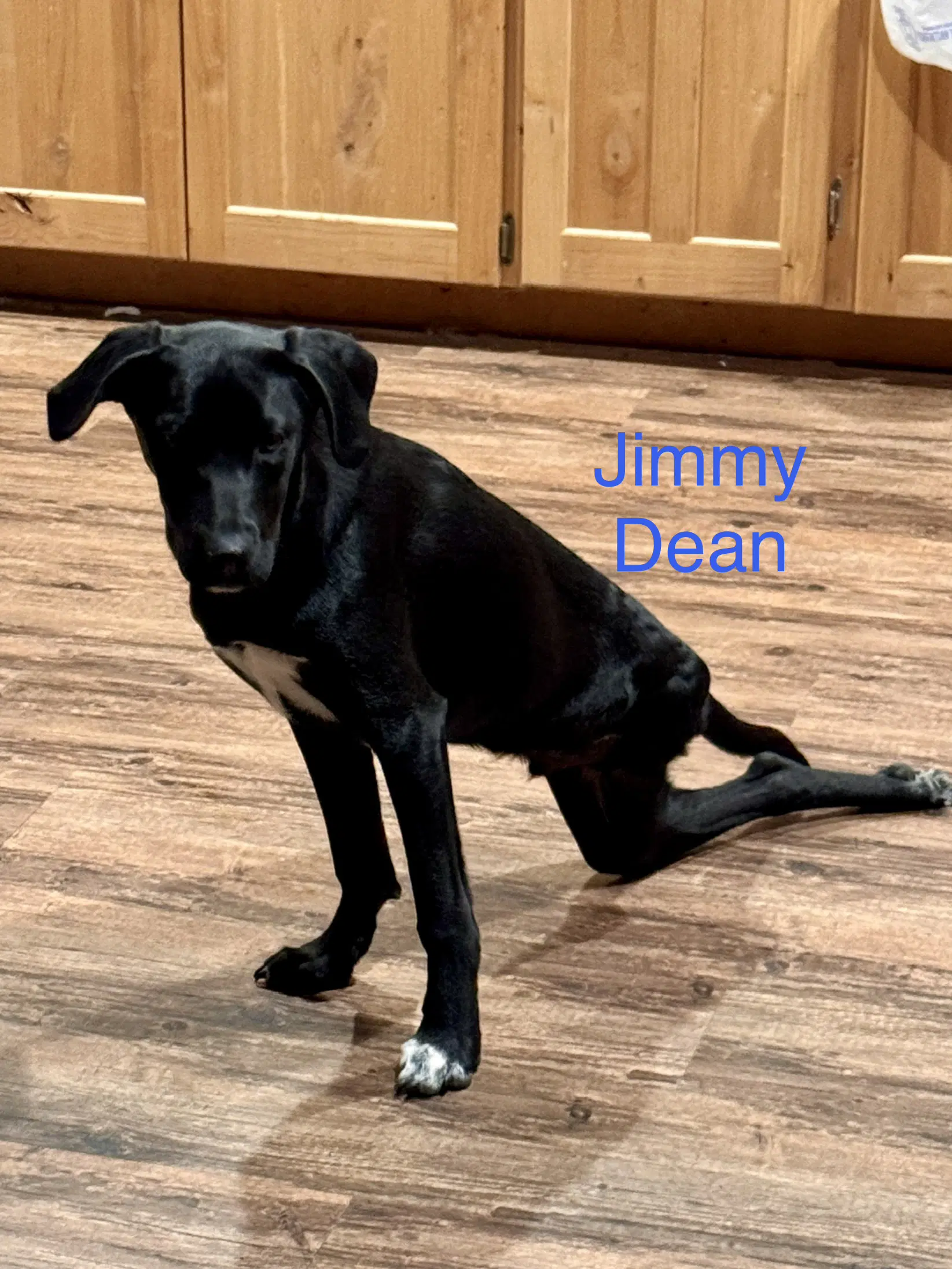 Jimmy Dean image 4