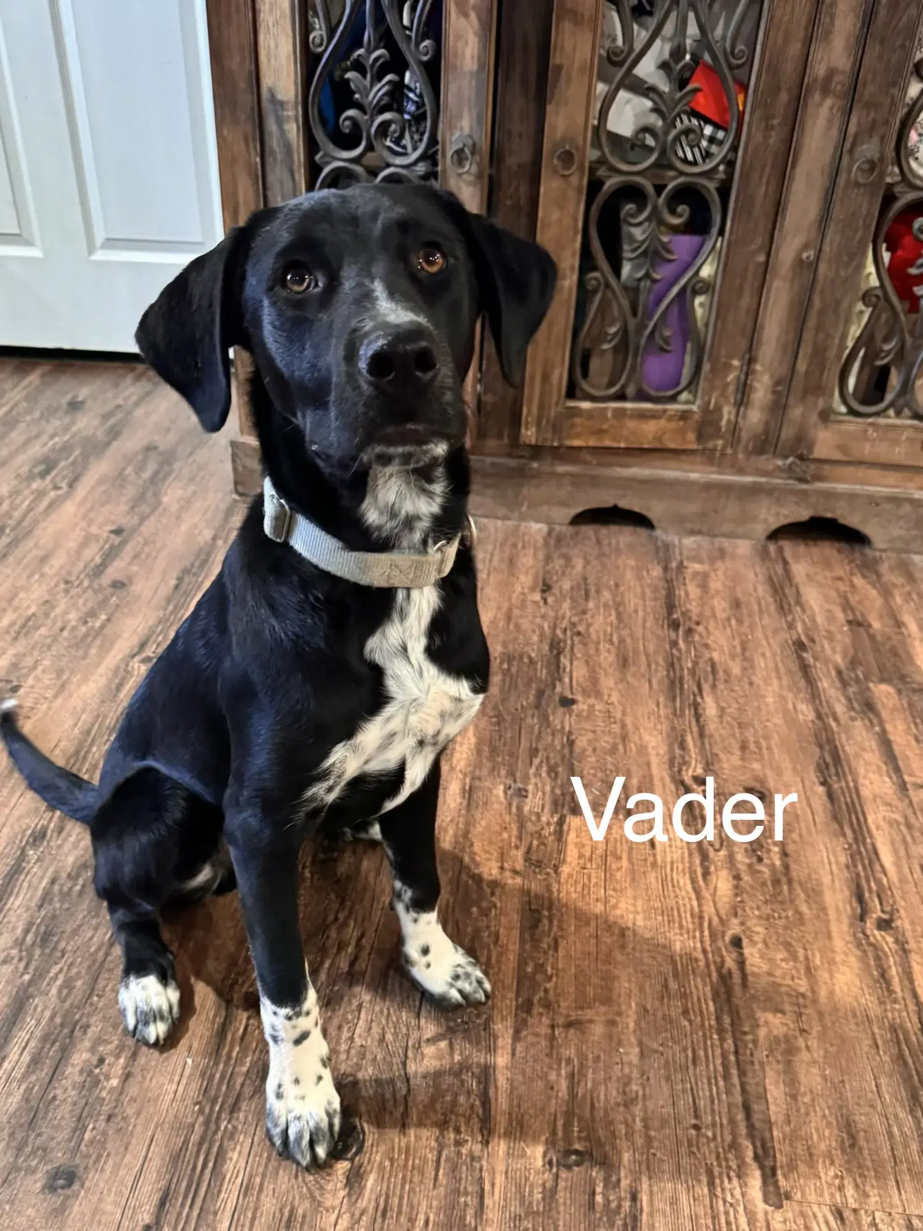 Vader Dot image 2