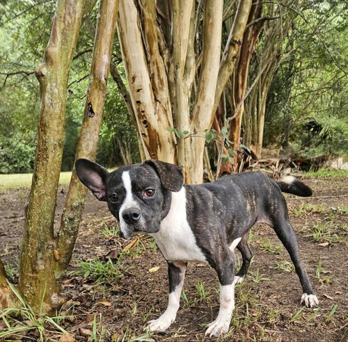 Photo 3 of Tess
