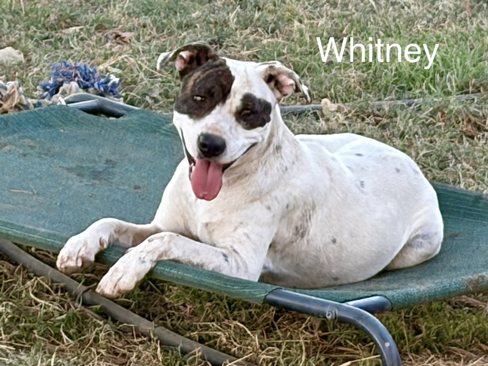 Whitney, photo 7