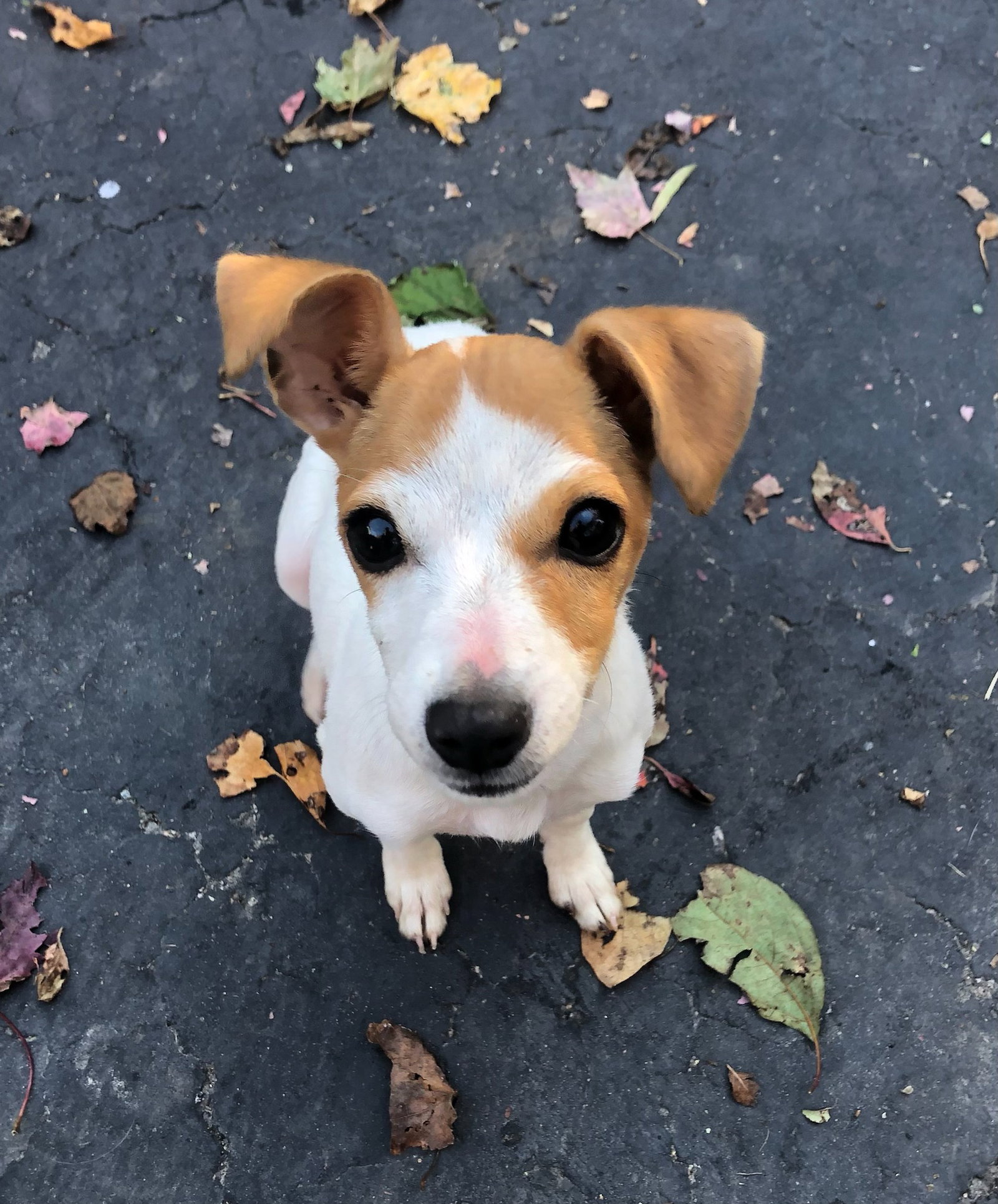 Martini *LOCAL* *MEET ME*