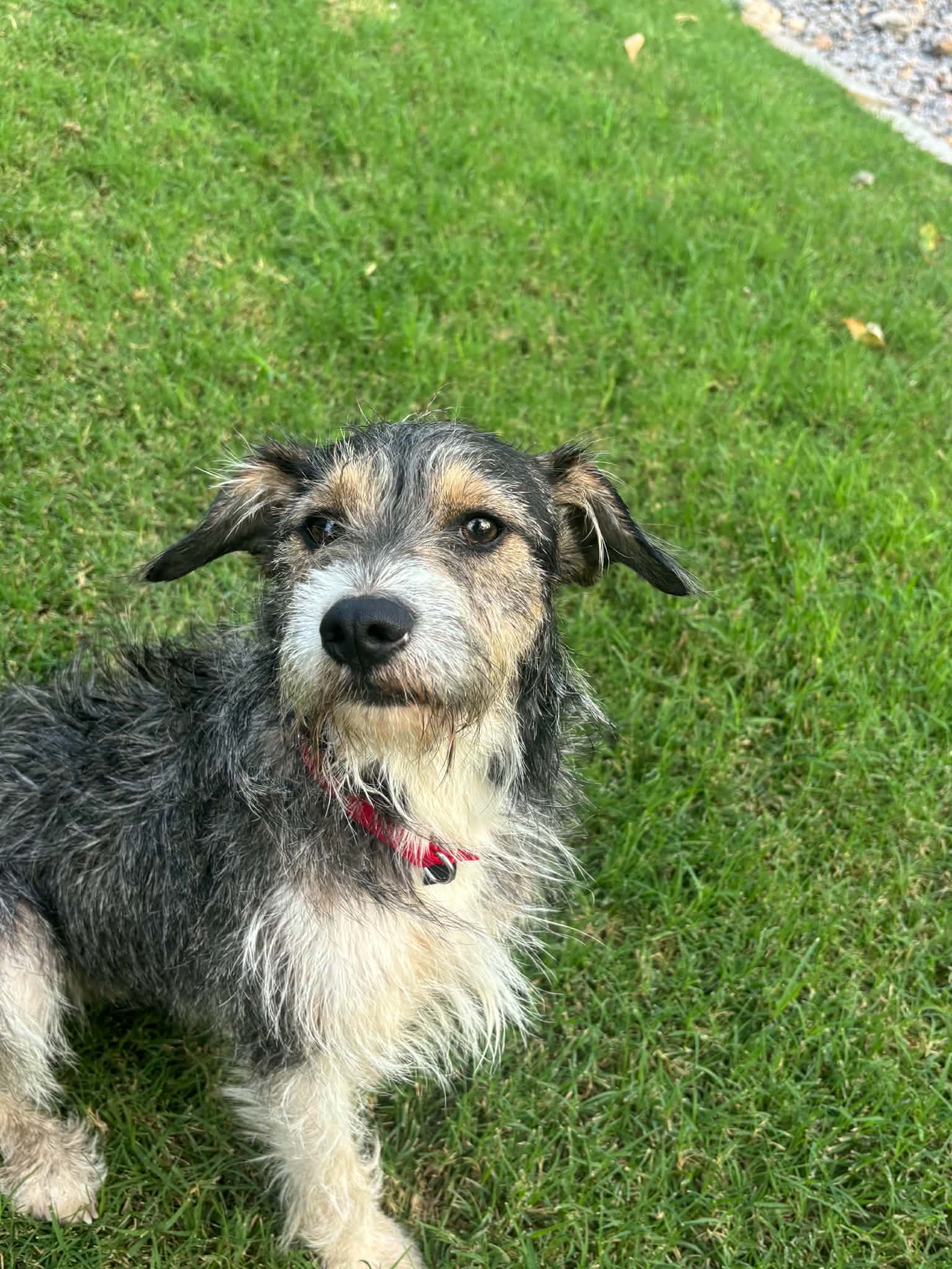 Lucky *MEET ME*, photo 2