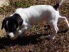 Kenny Leaf *LOCAL MEET ME!*