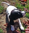 Kenny Leaf *LOCAL MEET ME!*