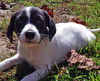 Kenny Leaf *LOCAL MEET ME!*