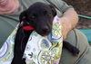 Maddie Hip *LOCAL MEET ME!*