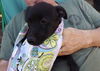 Maddie Hip *LOCAL MEET ME!*