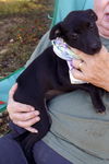 Maddie Hip *LOCAL MEET ME!*