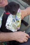 Maddie Hip *LOCAL MEET ME!*