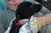 Maddie Hip *LOCAL MEET ME!*