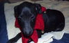 Maddie Hip *LOCAL MEET ME!*