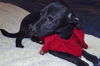 Maddie Hip *LOCAL MEET ME!*