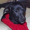 Maddie Hip *LOCAL MEET ME!*