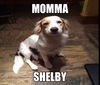 Sadie Shell