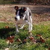 Ziggy *LOCAL MEET ME!*
